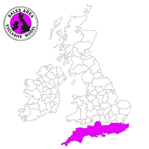 Class 09 09006 Mainline Freight