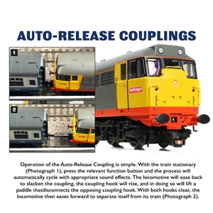 Class 30 D5617 BR Green (Late Crest)